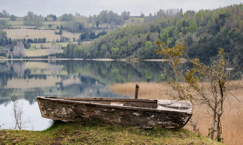 "Vyzvedl svou ženu a novorozence, dal jí květiny a pak ji hned po porodu opustil"